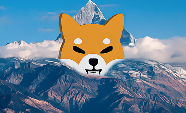 Shiba Inu price surge, now valued higher than Nissan and LG Electronics