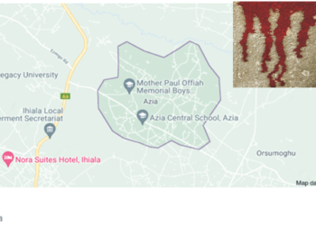 We demand justice for Chidinma murdered by the Nigerian Police – Azia Community petitions Inspector General