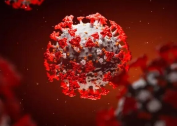 Covid-19: EU to suspend air travel from South African countries