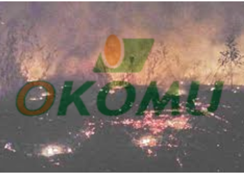 Unknown Gunmen attack Okomu Oil: kill one, set equipment and 90 hectares of rubber plantation ablaze