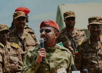 Ethiopian Government declares indefinite humanitarian truce to allow aid into Tigray