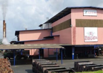 Directors of Okomu Oil approve 2021 Financial Statement and payment of final dividend