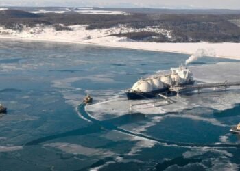 Japanese firms are not considering quitting Russian Energy Project