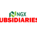 Nigerian Stock Exchange Group’s Investment in subsidiaries