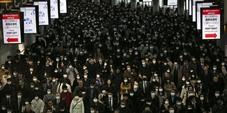 Zoonoses day: understanding and preventing Zoonotic diseases