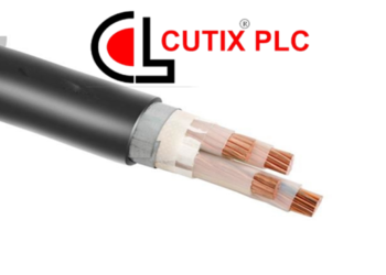 Resolutions passed at the Annual General Meeting of Cutix Plc