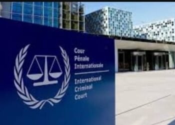 Miyetti Allah drags Governor Ortom to ICC over cow seizures and Herdmen arrest