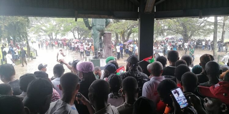 For a better Naija, OBIdients defy the rain to March for Peter Obi in Port Harcourt