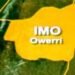 Gunmen invade Imo community, destroy properties