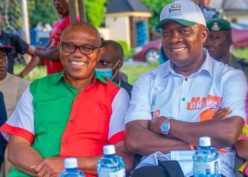 ‘I am 100% Obidient!’ – Valentine Ozigbo declares