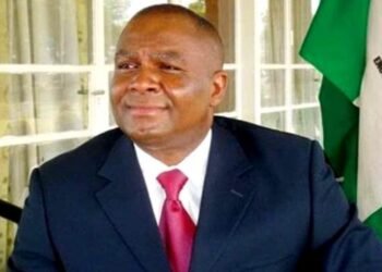 Inclusion of Chimaroke Nnamani’s name in our list not a mistake – APC campaign