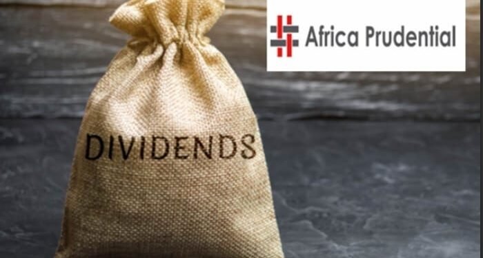 Dividend Stocks to watch on the Nigerian Exchange – The case for Africa Prudential Plc