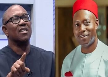 Fact check: Is the Investment Peter Obi made for Anambra State worth next to nothing?