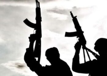 Herdsmen repeat attack on Enugu community, many feared dead