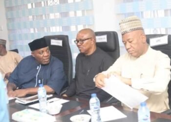 BREAKING: Doyin Okupe resigns as DG of Peter Obi presidential campaign