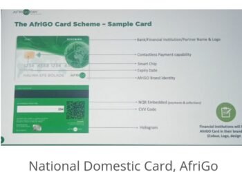 CBN, NIBSS launch ‘AfriGo’, Nigeria’s first National Domestic Card Scheme