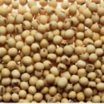 Ellah Lakes Plc subsidiary to boost soybean production in Enugu, signs seed production agreement with IITA