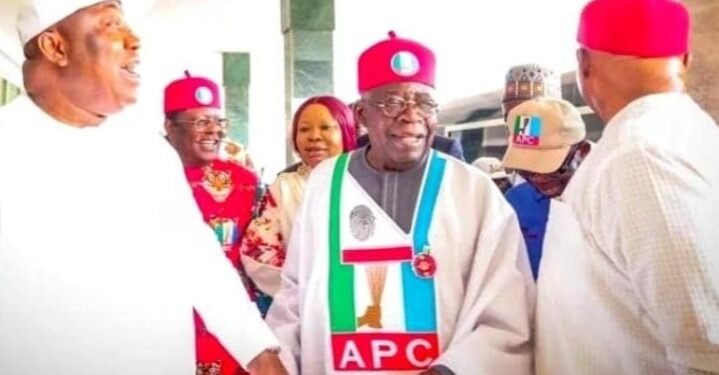 Only when Igbos vote for me will they eat national cake: Tinubu
