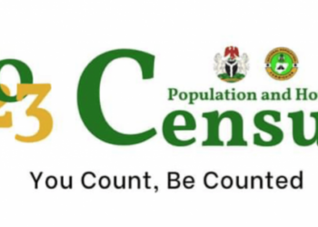 Election postponement to affect start of 2023 Census – NPC