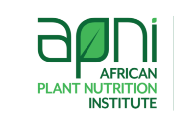 Application opens for Scholar Award for African Plant Nutrition 2023, up to $2,000
