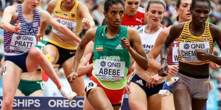 Investogist - World Athletics Ban Transgender Women From Female Events