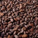 FTN Cocoa lists 1.7 billion new shares from debt conversion