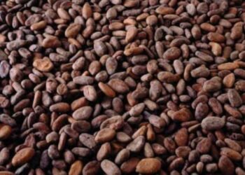 FTN Cocoa lists 1.7 billion new shares from debt conversion