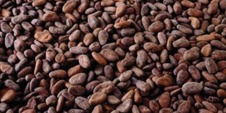 FTN Cocoa lists 1.7 billion new shares from debt conversion