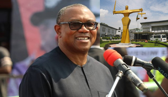 Court grants Peter Obi’s request to access sensitive materials used by INEC