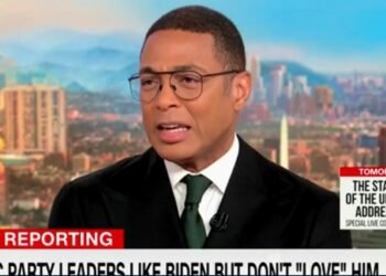 CNN fires Don Lemon after 17 years