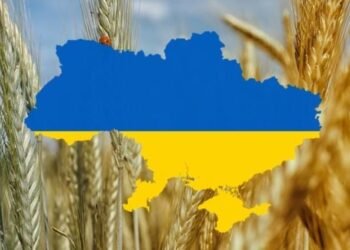 Poland suspends grain imports from Ukrainian amidst plummeting prices