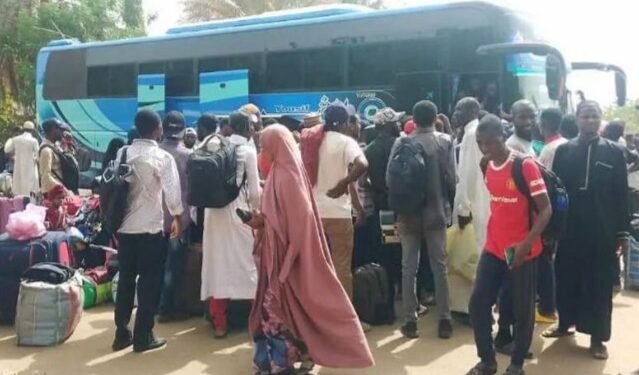 JUST IN: Egypt has opened border for Nigerians fleeing Sudan – FG
