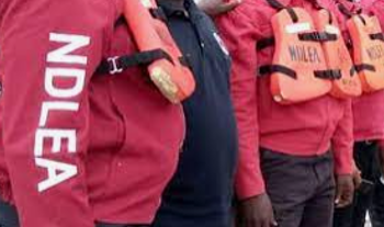 2 Qatar-based drug lords arrested as NDLEA intercepts their meth consignment at MMIA