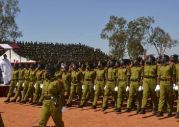 RECRUITMENT: NDLEA invites candidates for screening/interview