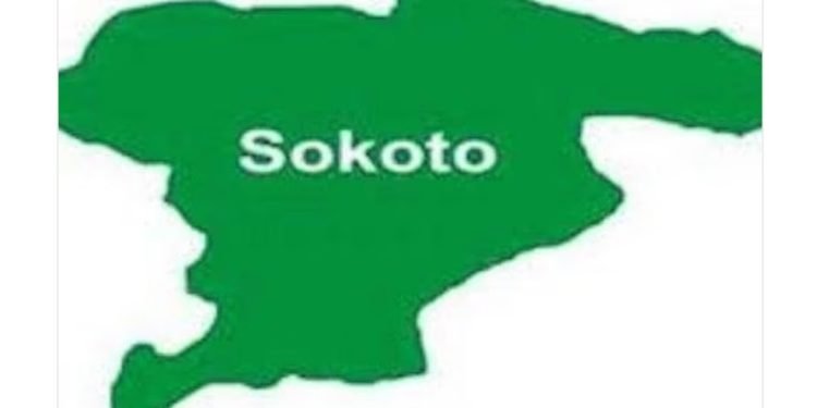 Butcher stoned to death in Sokoto over alleged blasphemy