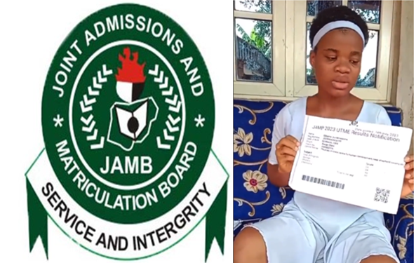 I was redirected to another server where I downloaded my JAMB Result – Mmesoma Ejikeme