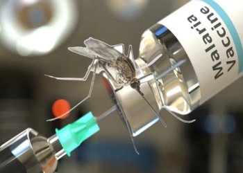 First-ever malaria vaccine to be distributed to Ghana, Cameroon and 10 other African countries