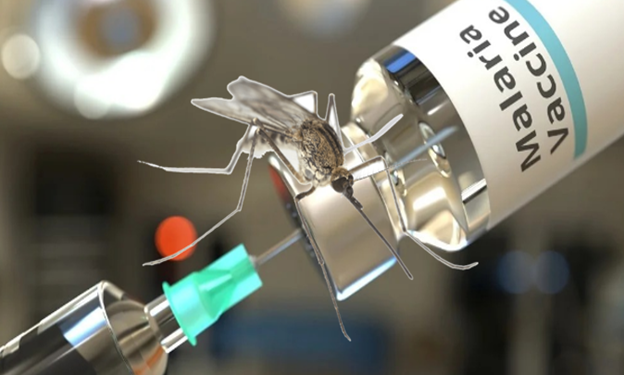 First-ever malaria vaccine to be distributed to Ghana, Cameroon and 10 other African countries