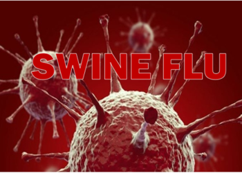 UK confirms first Human case of swine flu strain A(H1N2)v