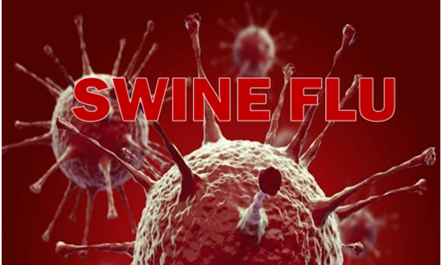 UK confirms first Human case of swine flu strain A(H1N2)v
