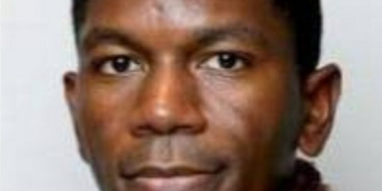 Federal Ministry of Arts celebrates Shofela Coker’s Annie Awards nomination, first Nigerian to be nominated