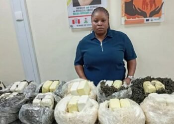 NDLEA arrests Qatar-bound woman with 10.7kg of cannabis concealed in African salad and dried vegetables