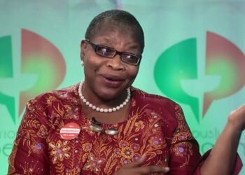 Ezekwesili demands probe as NNPC boss denies owning foreign plant