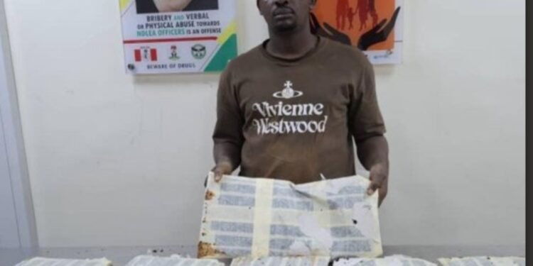 29-year-old Thailand returnee arrested with N3.1 billion worth of heroin at Lagos airport 