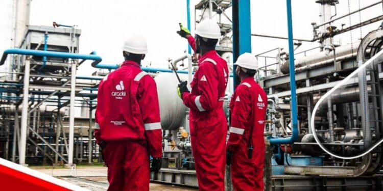 Aradel Holdings to list shares on NGX Main Board October 14