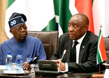 South Africa express interest in Nigeria’s lithium for electric vehicles