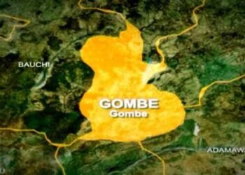 Gombe receives N60 billion from FG to establish Agro-Livestock Industrial Zone