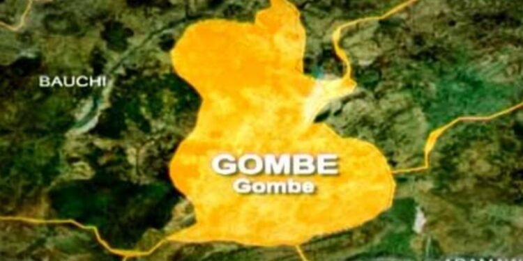 Gombe receives N60 billion from FG to establish Agro-Livestock Industrial Zone