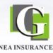 Guinea Insurance Sees ₦2.21bn Gain in Year-End Forecast