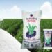 Dangote Sugar to Raise ₦500bn via Rights Issue to Cut Debt, Fund Expansion